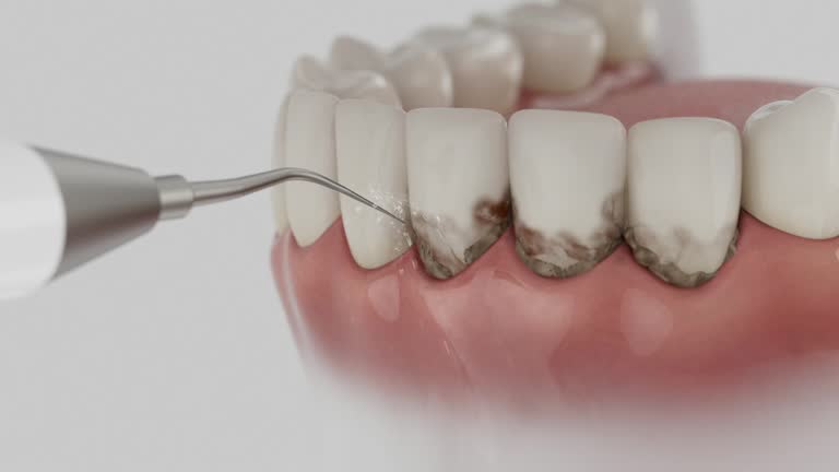 Reliable Dental contractor in Lake Forest, IL by Dentist Open Now